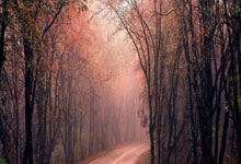 2022賽季中超聯賽繼續賽會制進行.