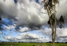 铁杆詹蜜上线陈冠希携妻子前排观看湖人VS独行侠比赛.