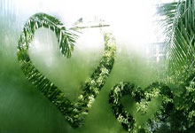 韩国宪法法院：25日下午进行尹锡悦弹劾案最终辩论.