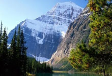 AG贵宾会入口：世界泳联2024兴奋剂检测：接受检测最多的前32位全是中国选手.