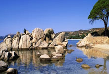 德记者:穆夏拉拒绝了其他队更高报价,因他想回报感谢拜仁.